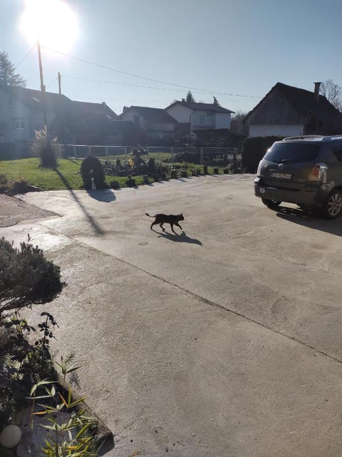 Počitniška hiša Drenje