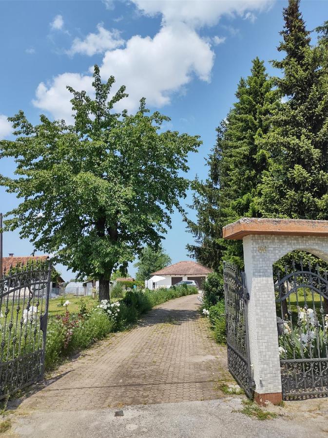 Drenje